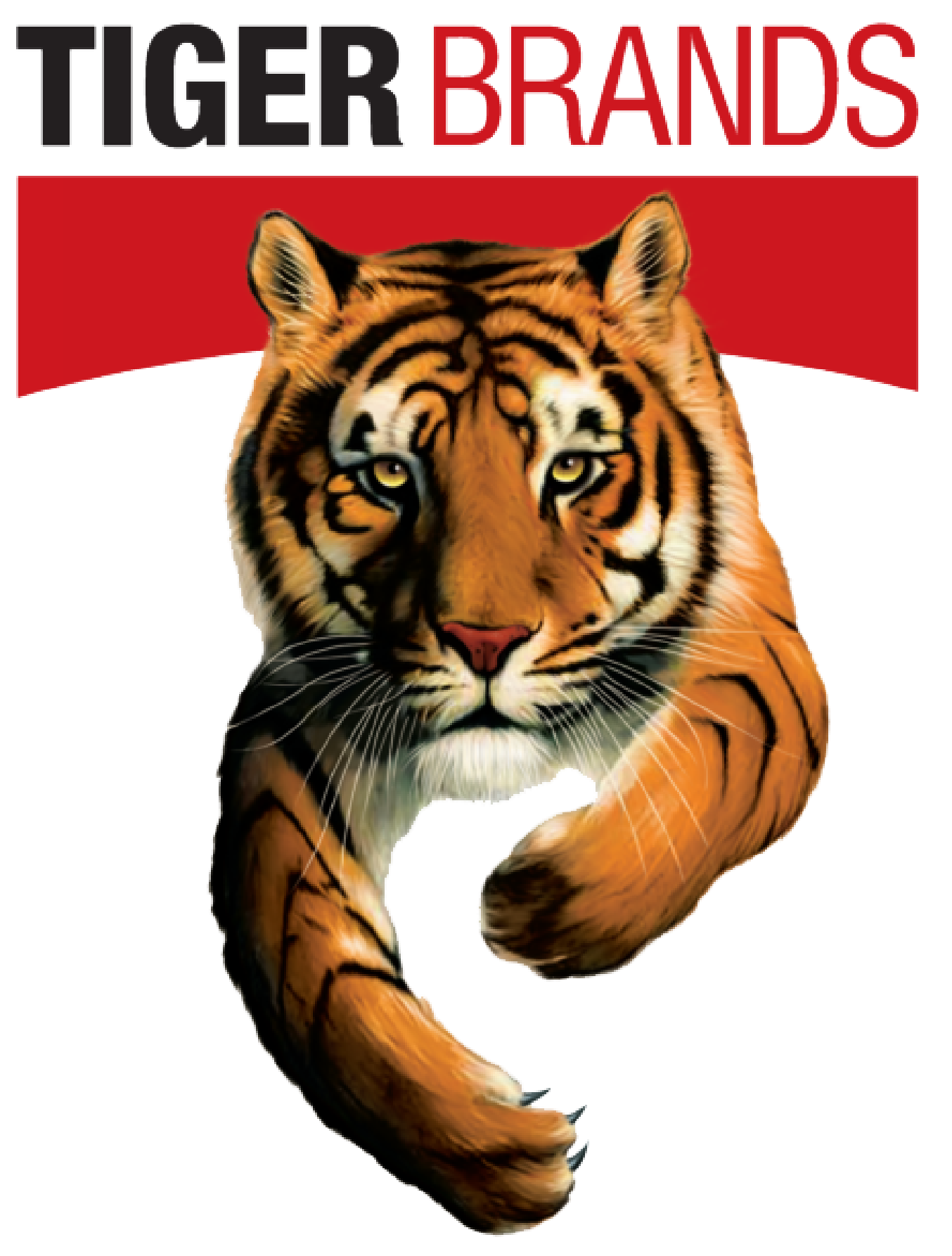 Tiger Brands Logo